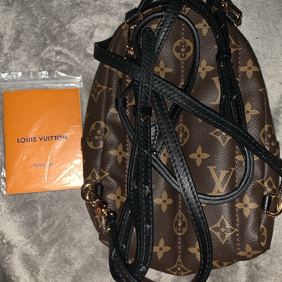 Louis Vuitton Palm Springs Mini Backpack - Picture 6 of 6